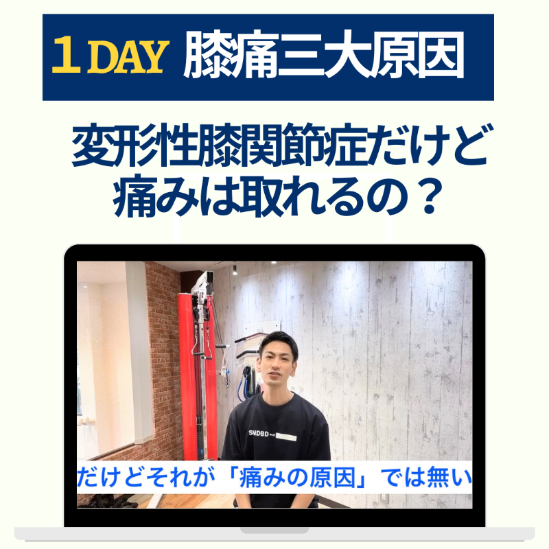 1DAY 膝痛三大原因