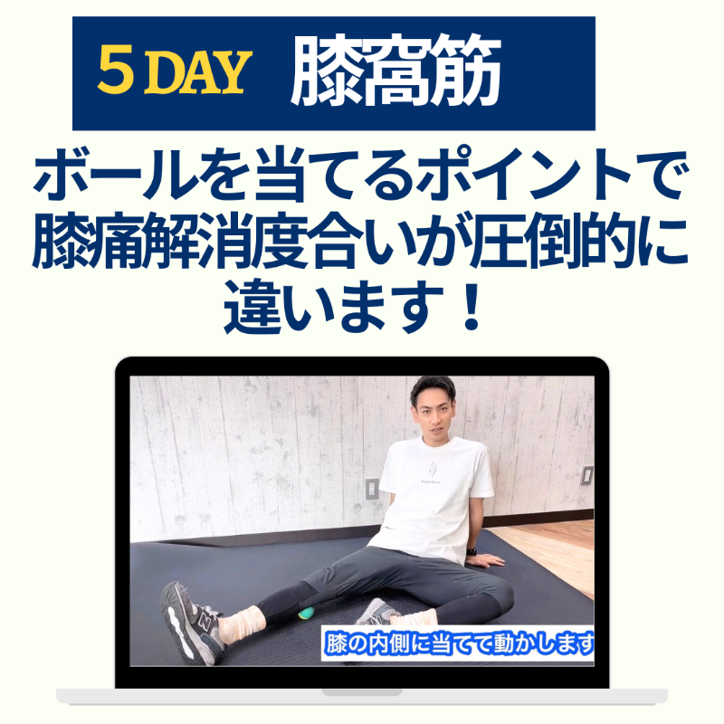 5DAY