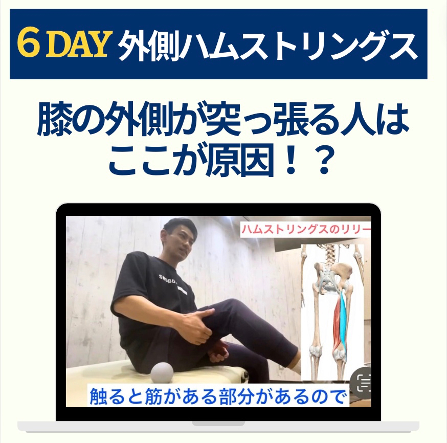 6DAY 外側ハムストリングス