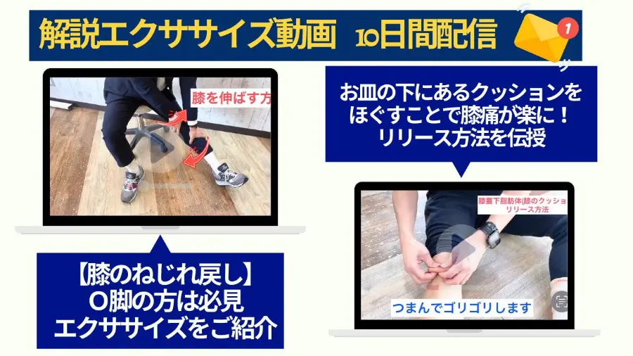 解説エクササイズ動画 10日間配信